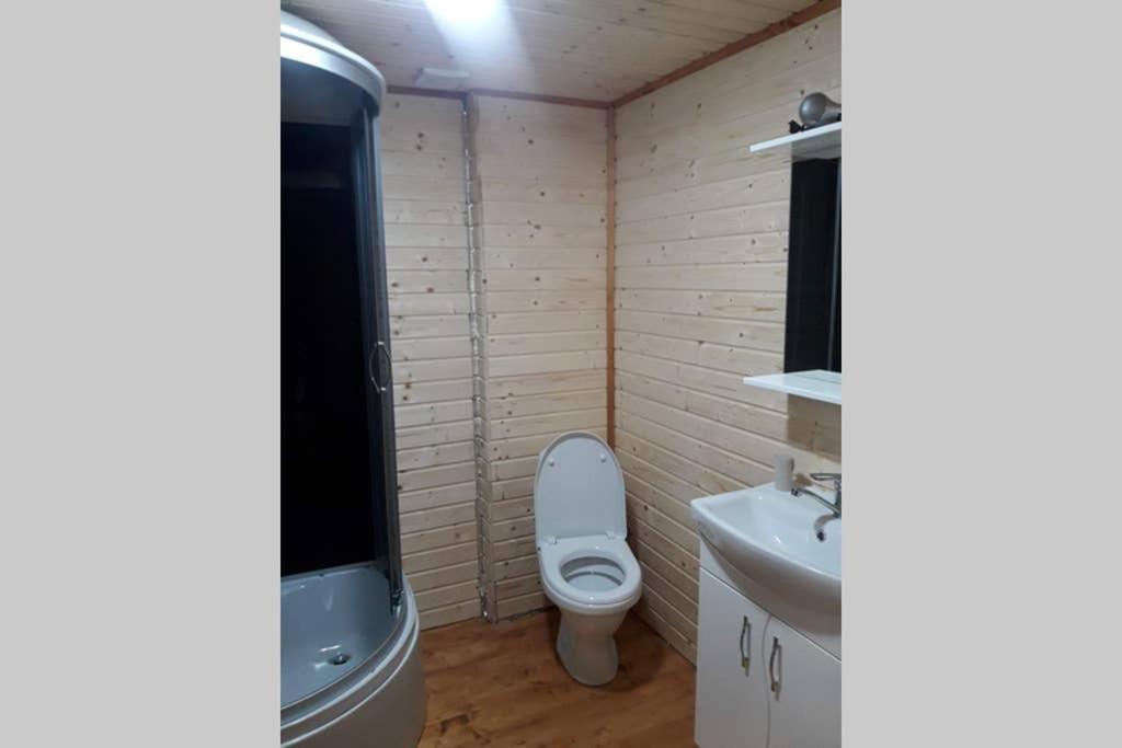 Номер 6 Садиба У Ані Synevyrsʼka Polyana エクステリア 写真